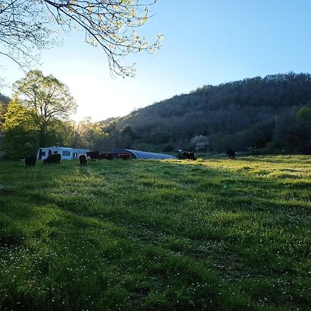 Ferme Les Therondels Saint-Pons-de-Thomieres 외부 사진