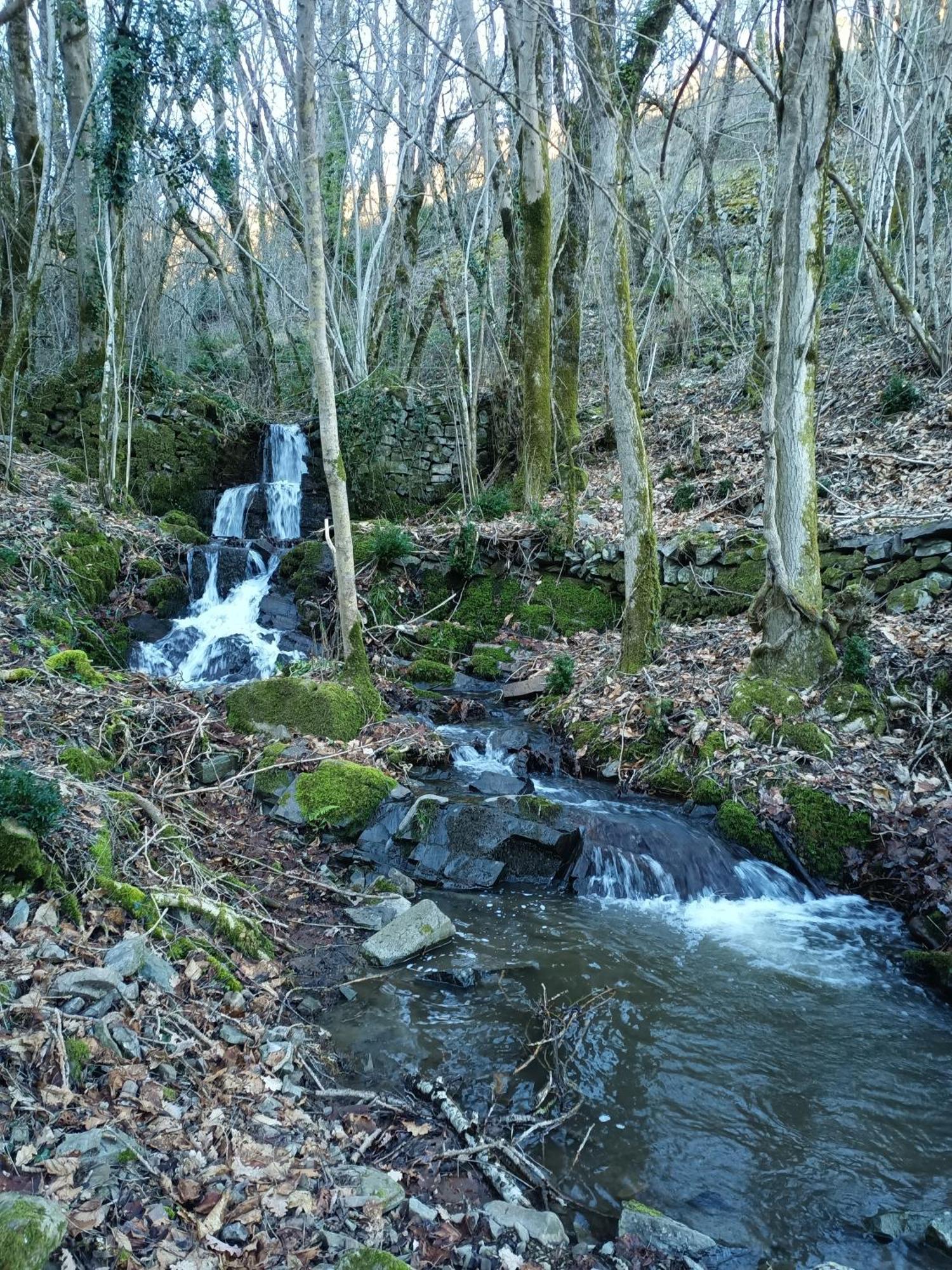 Ferme Les Therondels Saint-Pons-de-Thomieres 외부 사진