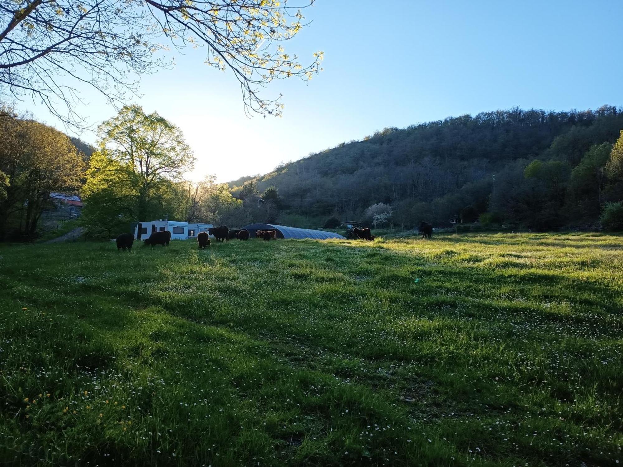 Ferme Les Therondels Saint-Pons-de-Thomieres 외부 사진